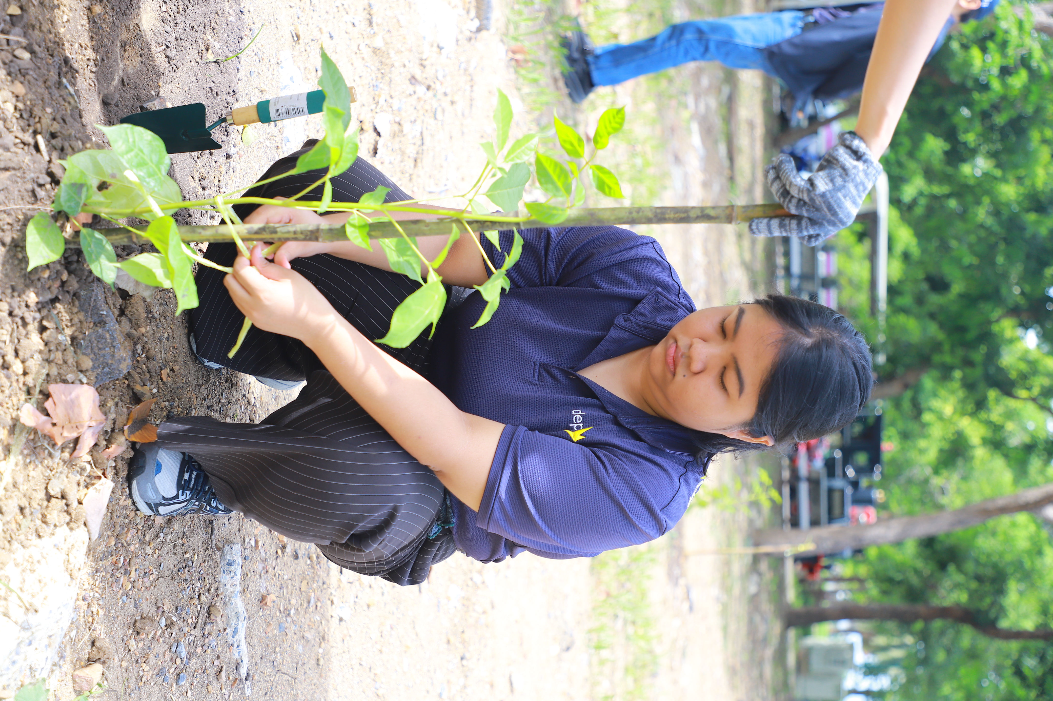 title - ส.ป.ก. - depa ร่วมใจปลูกต้นไม้ ภายใต้กิจกรรม CSR ปลูกต้นไม้ (Grow Green) เพิ่มพื้นที่สีเขียว ลด CO2 ณ ศูนย์ส่งเสริมและพัฒนาอาชีพเสริมนอกภาคการเกษตร